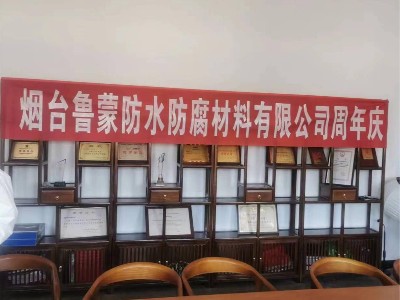 鲁蒙LM复合防腐防水涂料可用于消防水池工程